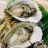 12508 澎湖 黃金大生蠔 鮮甜美味