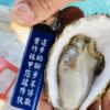 12509 澎湖 黃金大生蠔 鮮甜美味