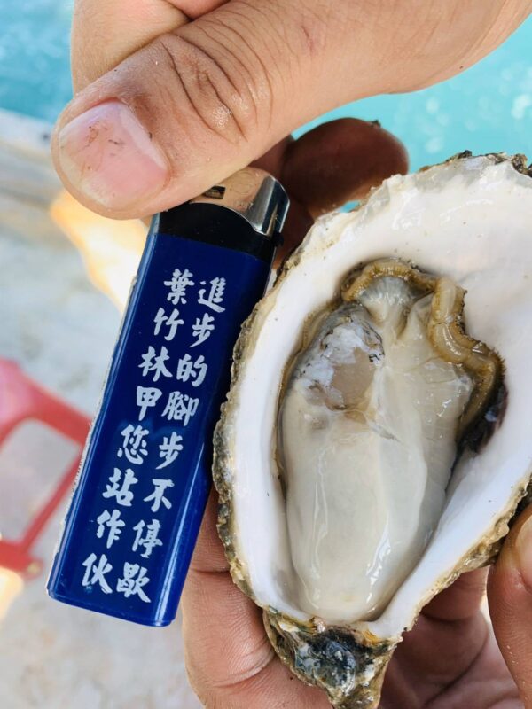 12509 澎湖 黃金大生蠔 鮮甜美味