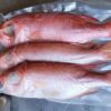 澎湖 野生紅目鰱 老饕必吃 肉質紮實又鮮甜