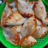 442467723_840412548123935_2301033157732873044_n 野生赤鯮魚 肉多味美 香氣十足