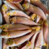 445248393_844207601077763_4579504146505832211_n 野生馬頭魚 肉嫩甘甜