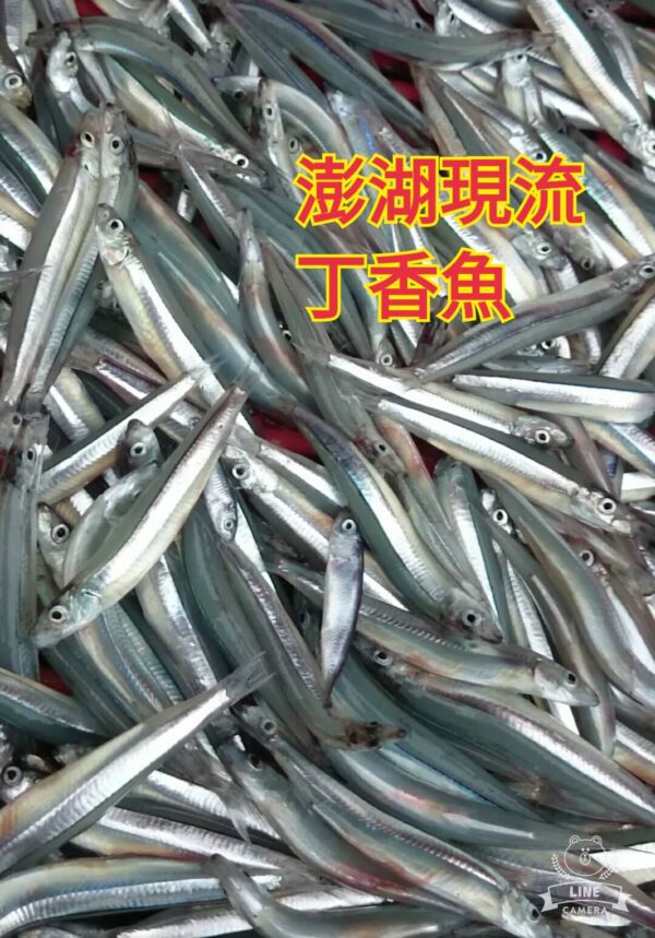 86536 澎湖生丁香魚~補充鈣質好營養