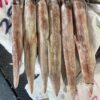 S__11870941_0 澎湖 手釣活凍透抽(砲管) 鮮美脆甜