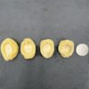 S__25108550_0 (常溫 請單獨下單)清湯鮑魚罐頭禮盒 送禮超大器