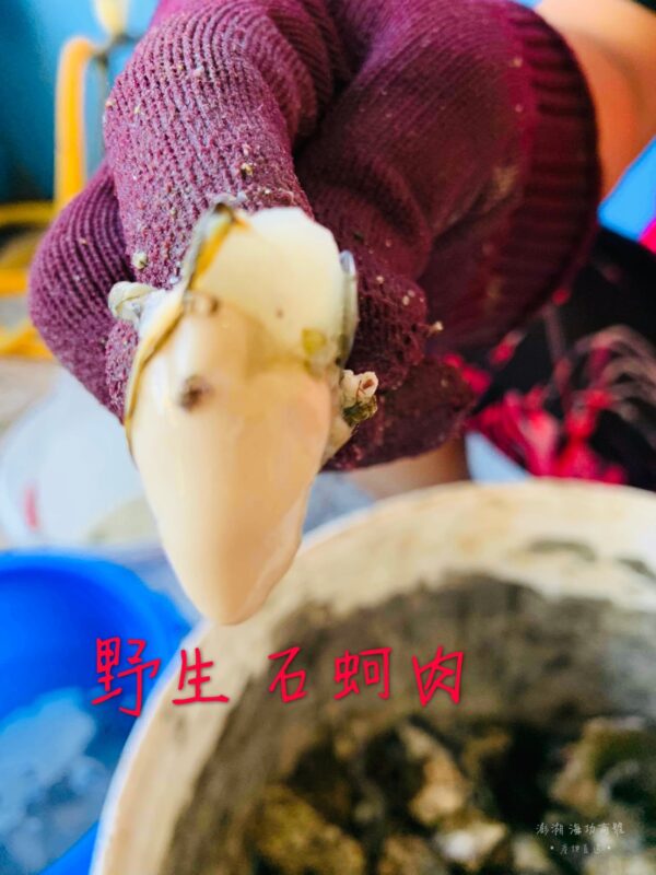 S__4071434 澎湖 純淨海域 鮮蚵肉(無泡藥無泡水)