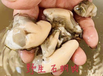 S__4071435 澎湖 純淨海域 鮮蚵肉(無泡藥無泡水)