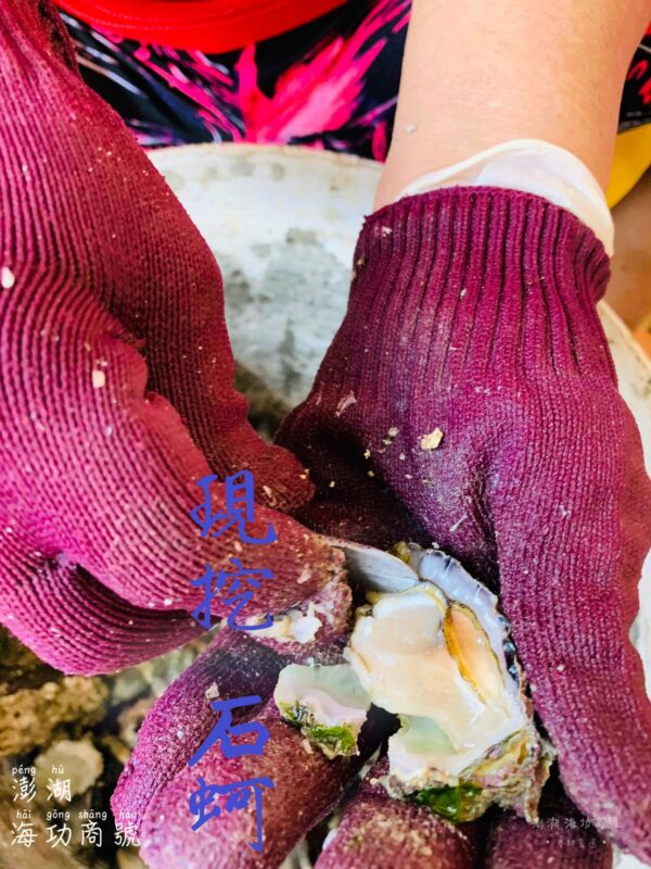 S__4071437 澎湖 純淨海域 鮮蚵肉(無泡藥無泡水)