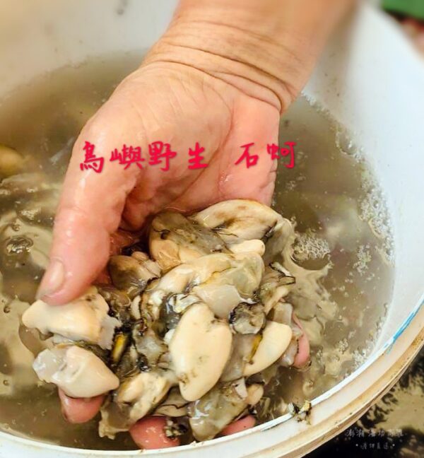 S__4071439 澎湖 純淨海域 鮮蚵肉(無泡藥無泡水)