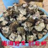S__4489228 澎湖 純淨海域 鮮蚵肉(無泡藥無泡水)