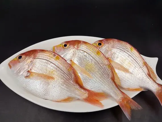 S__61849613 野生赤鯮魚 肉多味美 香氣十足