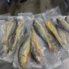 S__61849619_0 鮮嫩黃魚 SGS檢驗合格 香煎、燒烤最美味