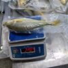 S__61849621_0 鮮嫩黃魚 SGS檢驗合格 香煎、燒烤最美味