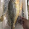 S__61849622_0 鮮嫩黃魚 SGS檢驗合格 香煎、燒烤最美味