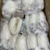 S__64159935_0 澎湖 野生花枝清肉 (已去皮、去殼) 香甜脆口 熱炒、煮鍋必吃