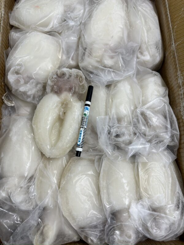S__64159935_0 澎湖 野生花枝清肉 (已去皮、去殼) 香甜脆口 熱炒、煮鍋必吃