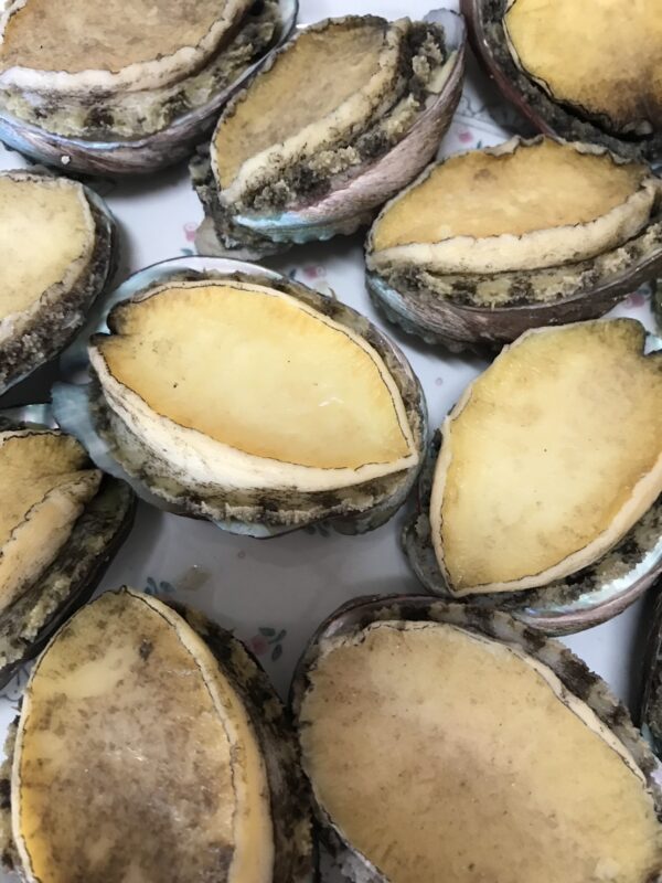S__71762049_0 活凍帶殼鮑魚 鮮脆口感 美味享受
