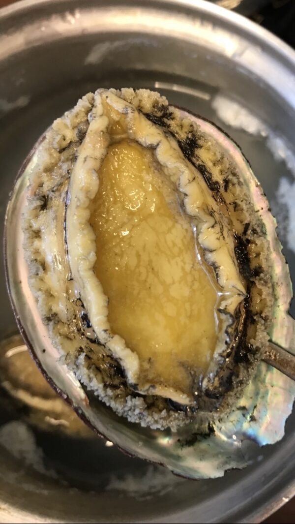 S__71762050_0 活凍帶殼鮑魚 鮮脆口感 美味享受