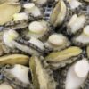 S__71762052_0 活凍帶殼鮑魚 鮮脆口感 美味享受