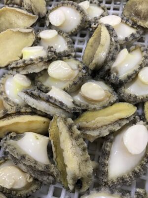 S__71762052_0 頂級鮑魚清肉 肉甜脆彈 燉補首選