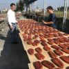 S__88768550_0 頂級珍藏【野生烏魚子】禮盒、【一口烏魚子】禮包
