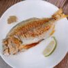 YU4 澎湖海釣邦頭魚(黃錫鯛魚) 肉質鮮甜