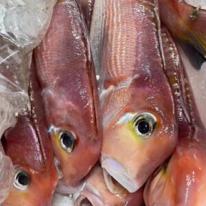 u=3258858326,1856855011&fm=224&app=112&f=JPEG 野生馬頭魚 肉嫩甘甜