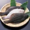 u=406950894,1124566190&fm=253&fmt=auto&app=138&f=JPEG 扁鱈(比目魚) 鮮嫩多汁 超美味!