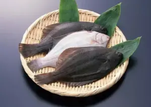 扁鱈(比目魚) 鮮嫩多汁 超美味！