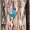 (真空)紅馬頭250-300 野生馬頭魚 肉嫩甘甜