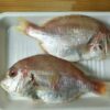 赤鯮 野生赤鯮魚 肉多味美 香氣十足