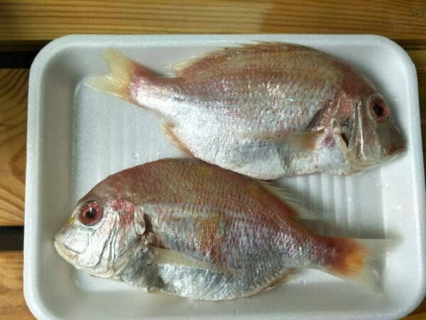 赤鯮 野生赤鯮魚 肉多味美 香氣十足